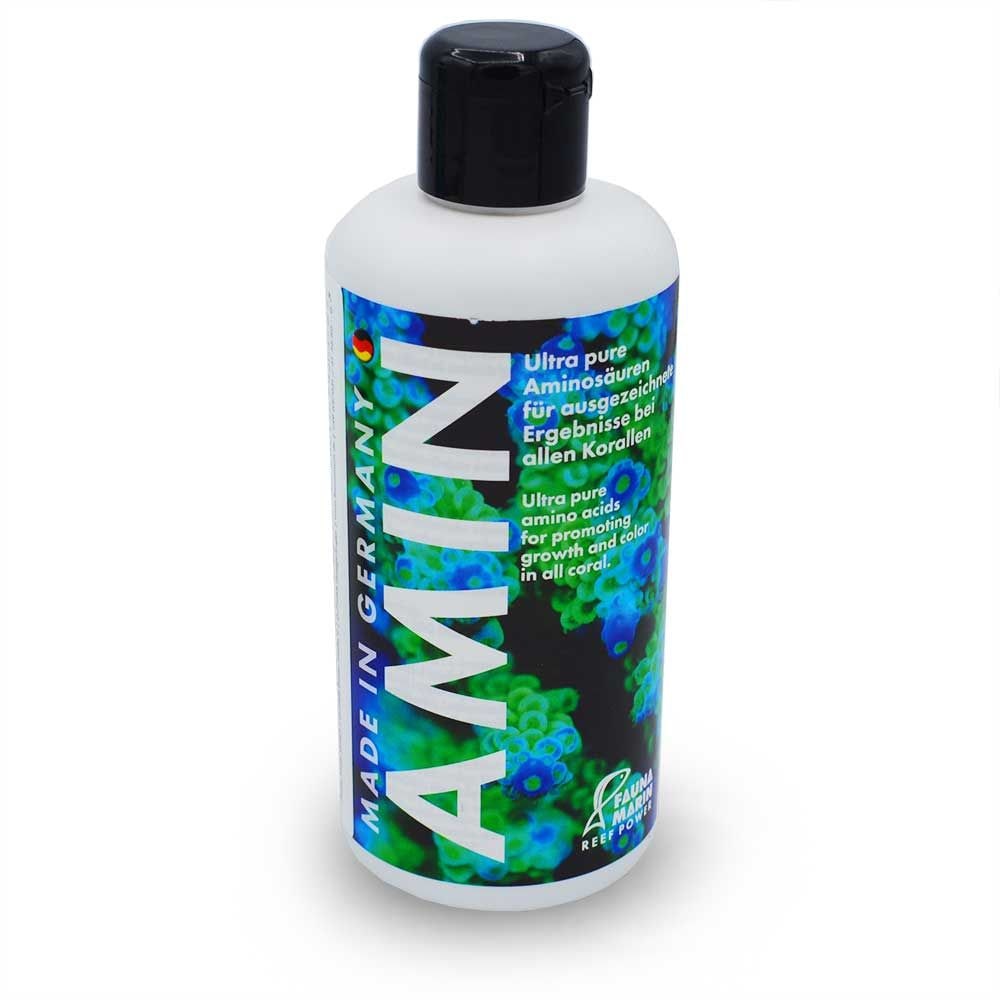 Fauna Marin Amin